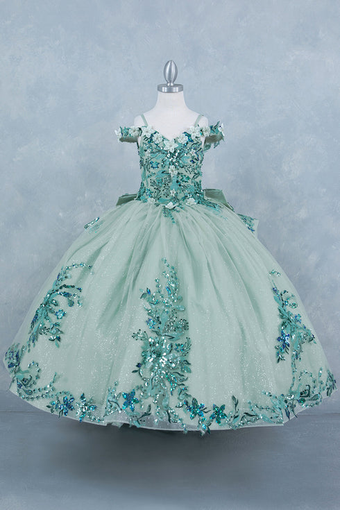 Girls 3D Beaded Applique A-line Off Shoulder Ball Gown 2-16